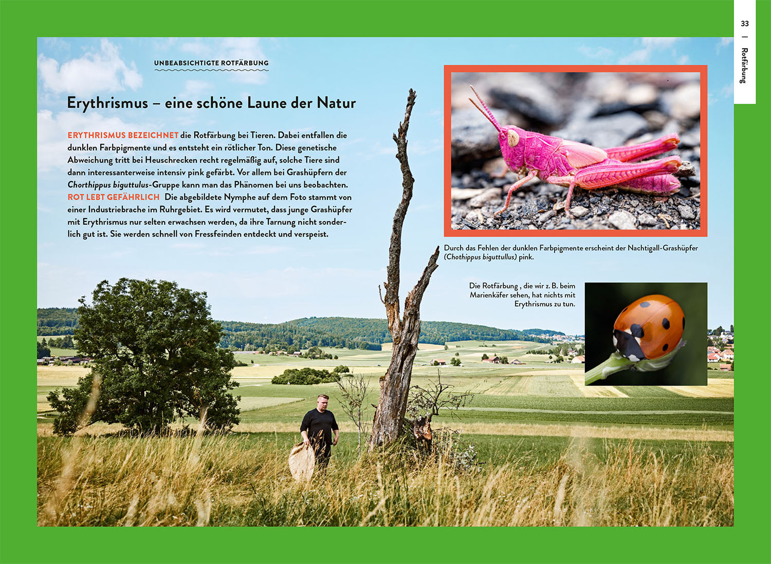 Nature Guide Insekten