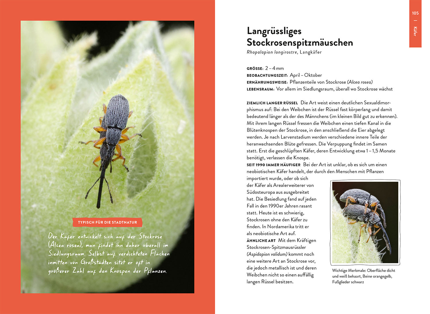 Nature Guide Insekten