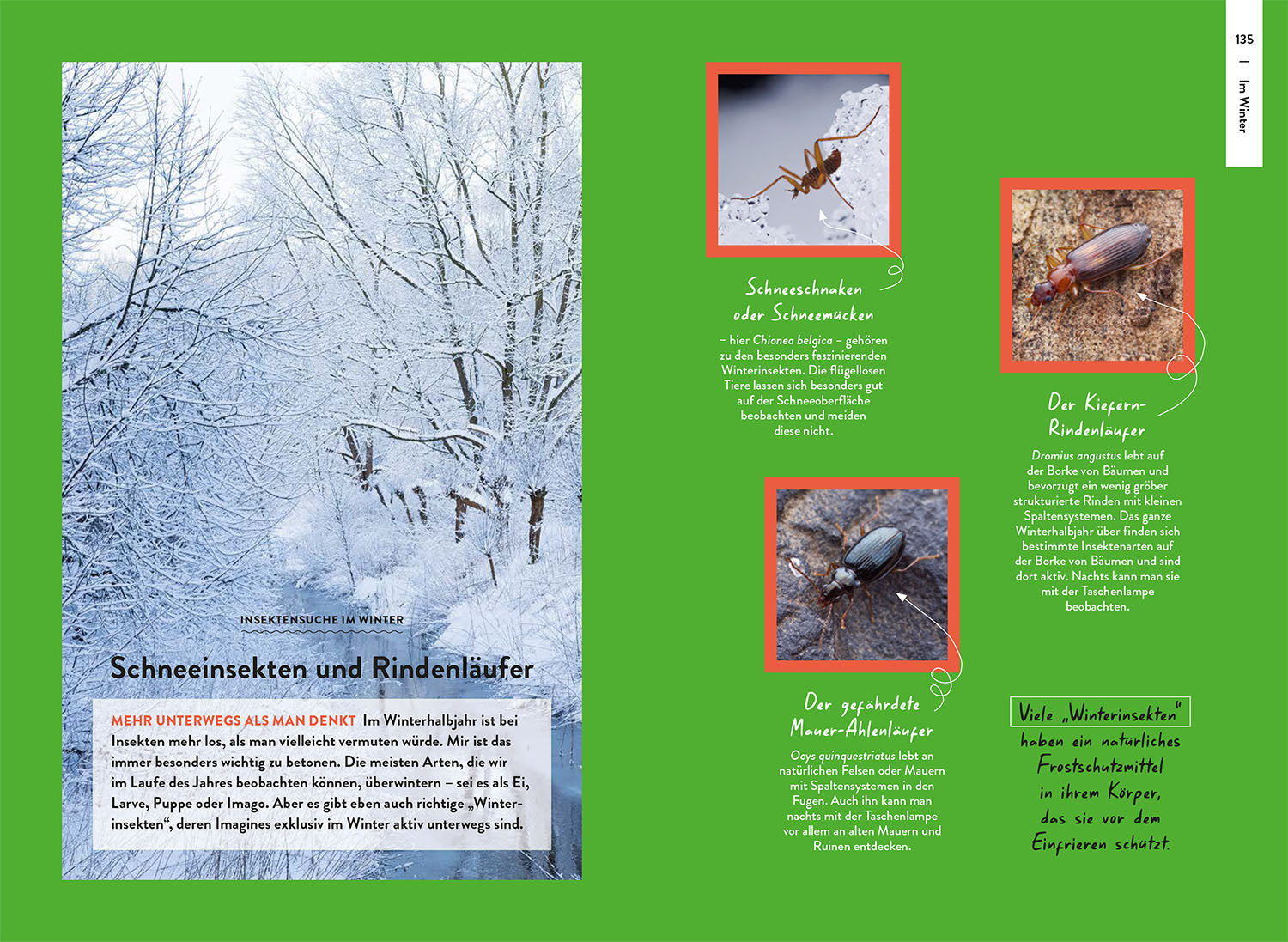 Nature Guide Insekten