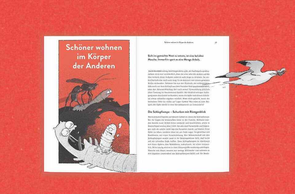 Kriminelle Machenschaften
