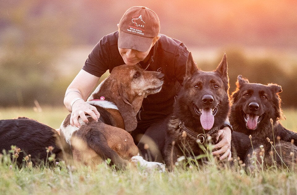 Eine neue Perspektive der Hundekommunikation