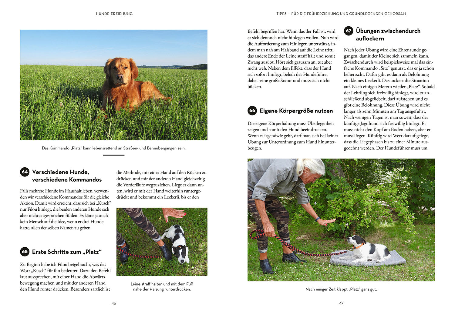 Tips & Tricks for Dog Handlers