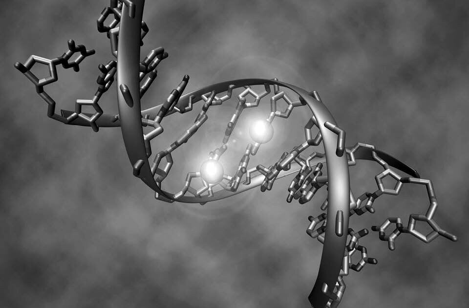 Zellen unter Einfluss