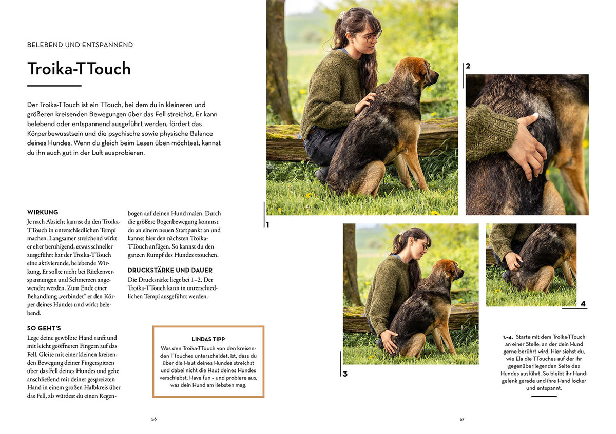 Tellington-Training für Hunde