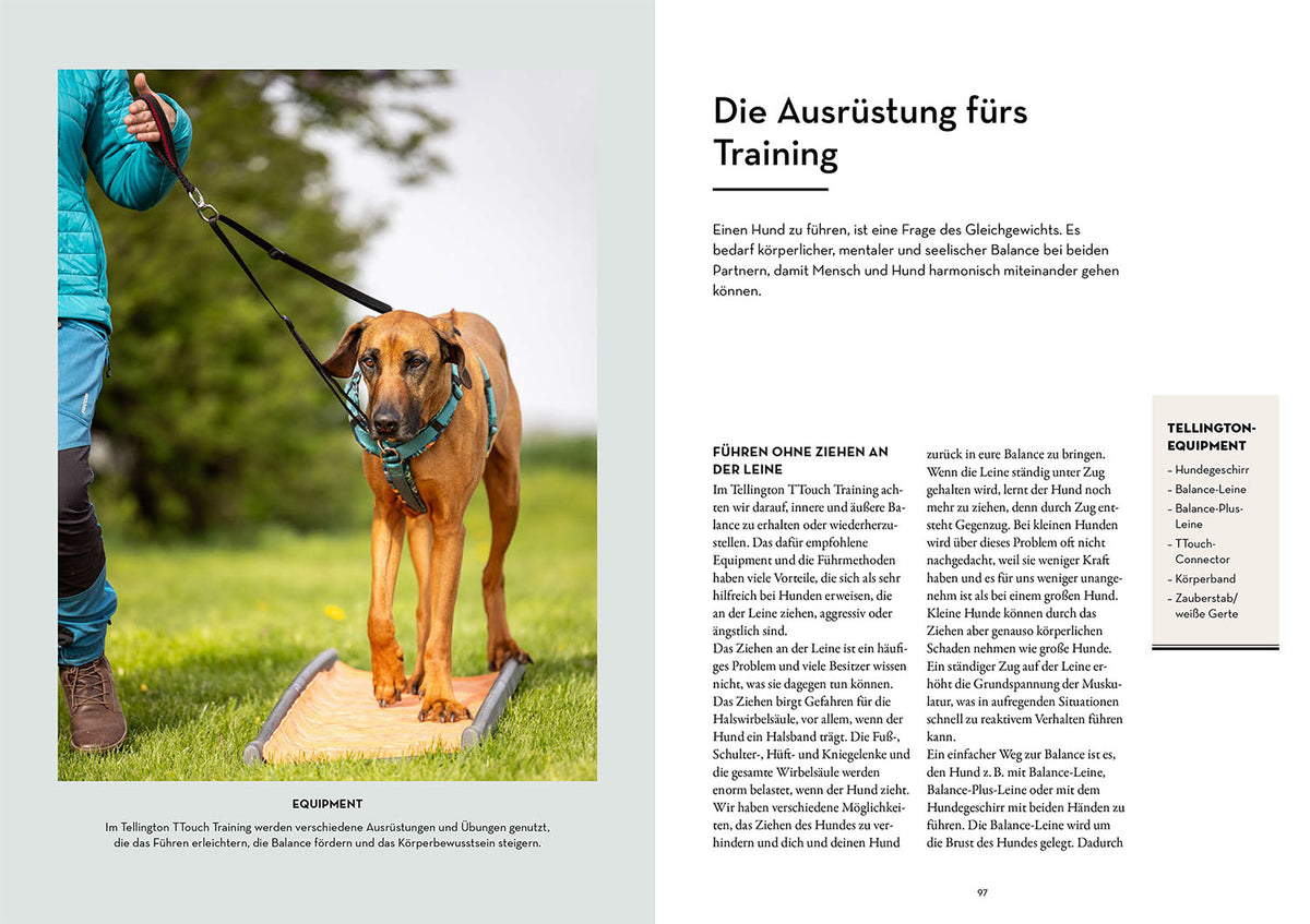 Tellington-Training für Hunde