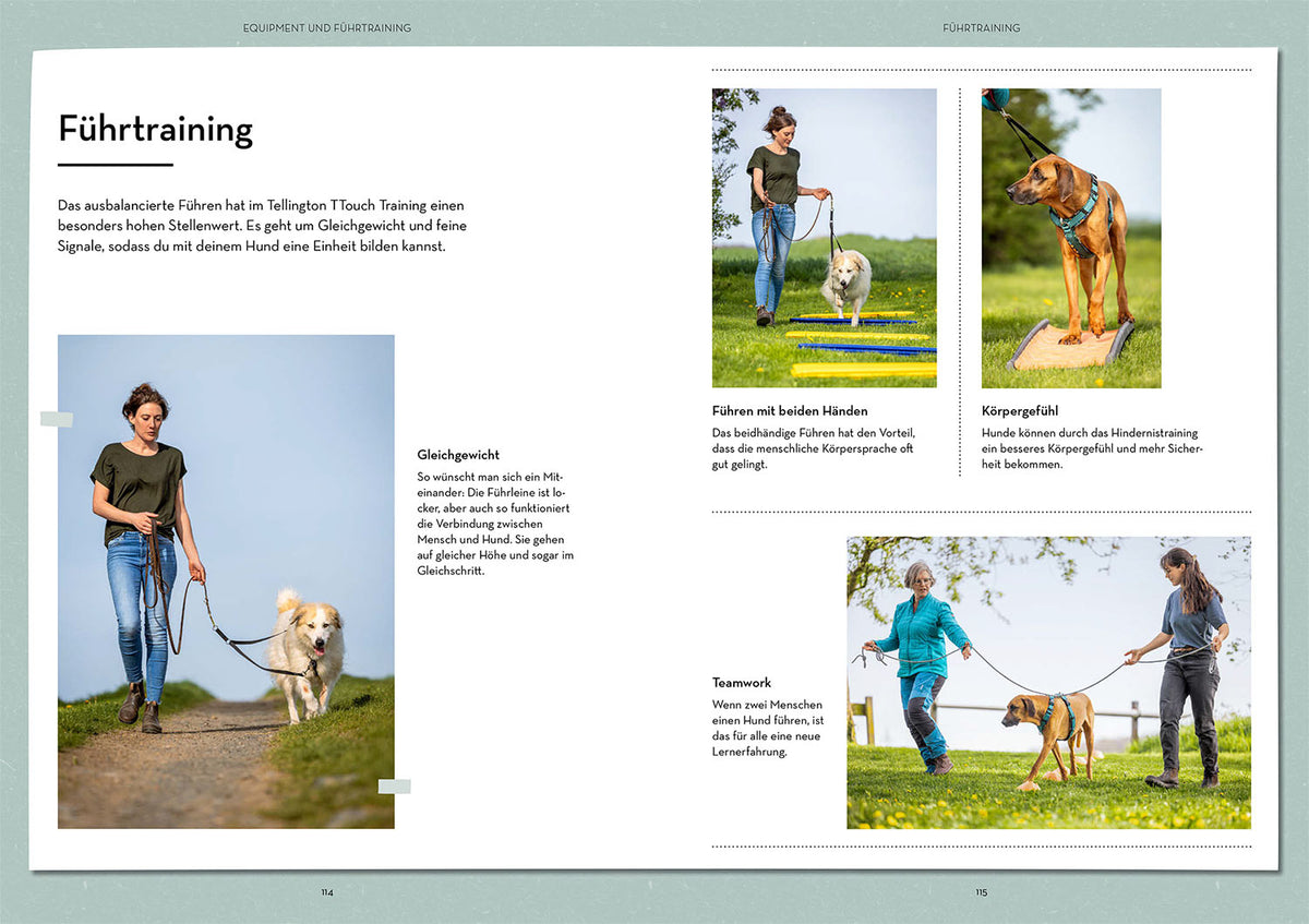 Tellington-Training für Hunde