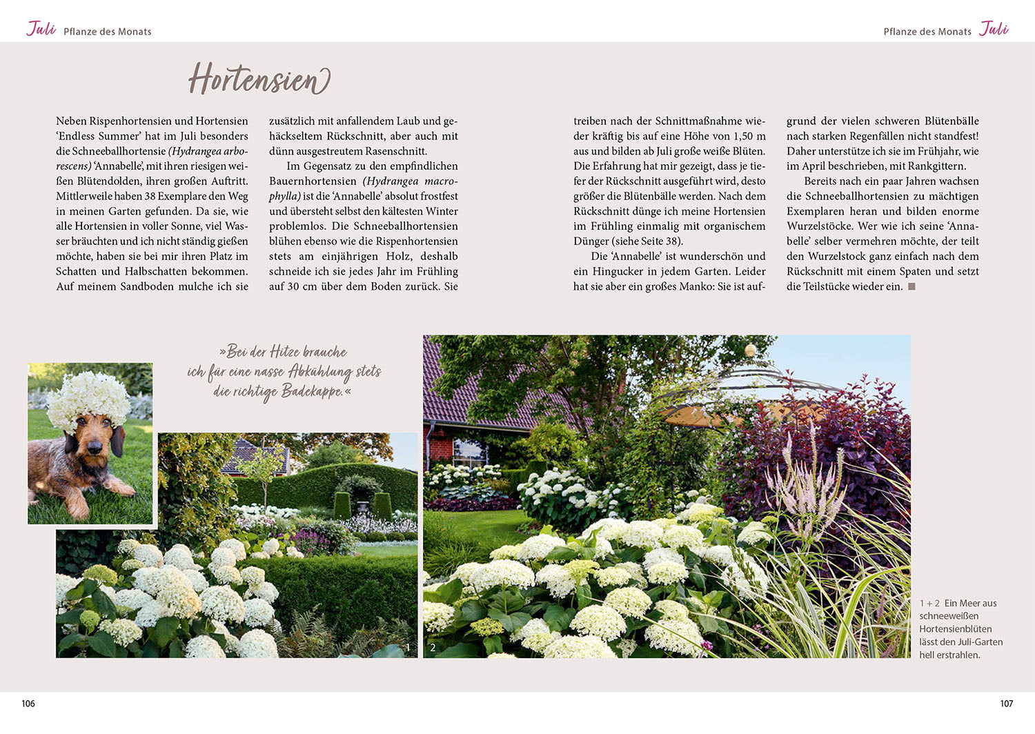 Through Katrin's Garden Year 2025 with Heart & Fork