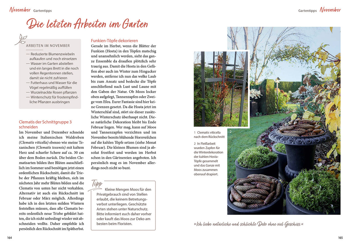 Mit Herz & Gabel durch Katrins Gartenjahr 2025
