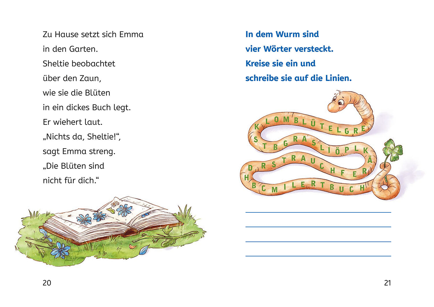 Sheltie, Bücherhelden 1. Klasse, Sheltie in der Schule