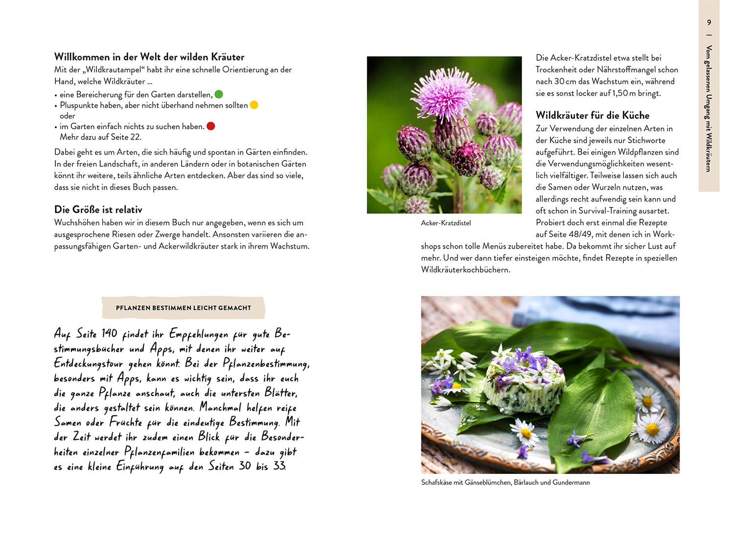 Garden Guide Wildkrautampel