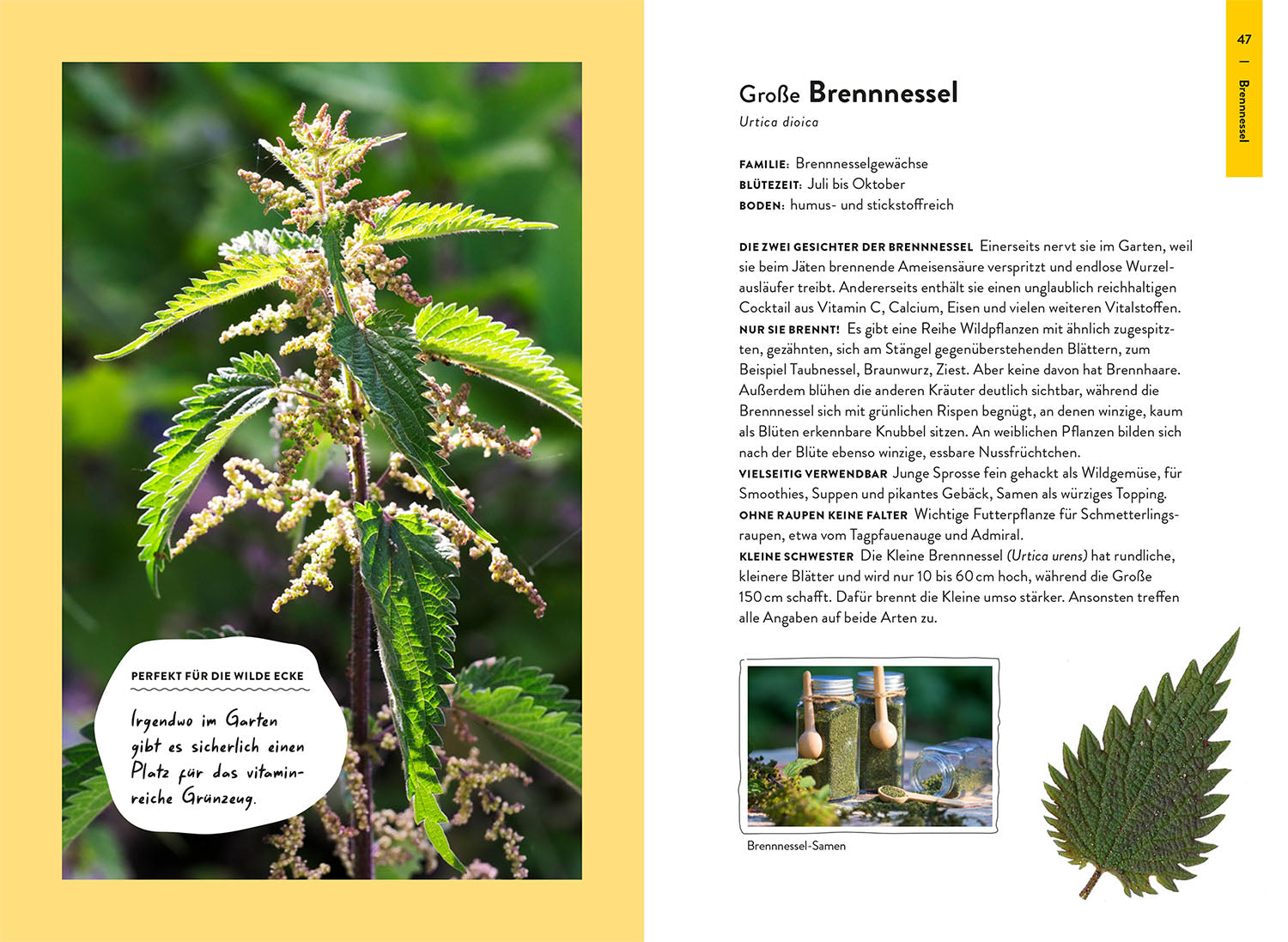 Garden Guide Wildkrautampel
