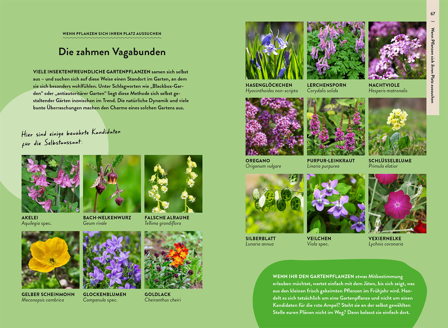 Garden Guide Wildkrautampel