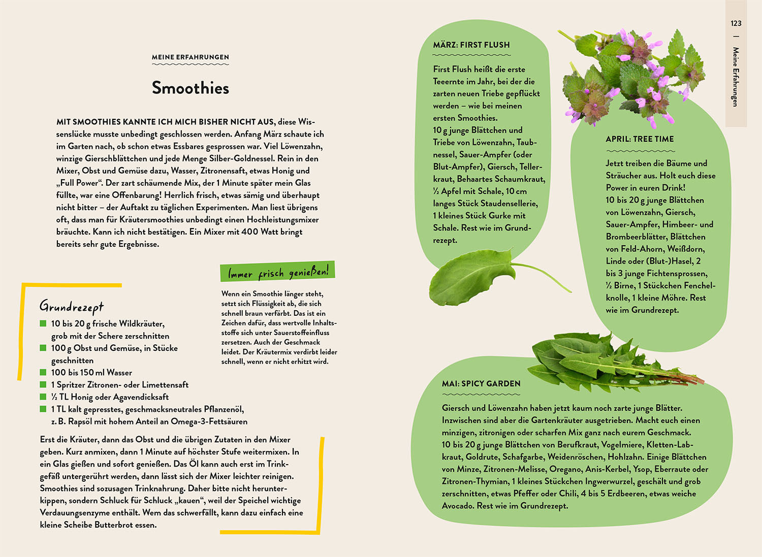 Garden Guide Wildkrautampel