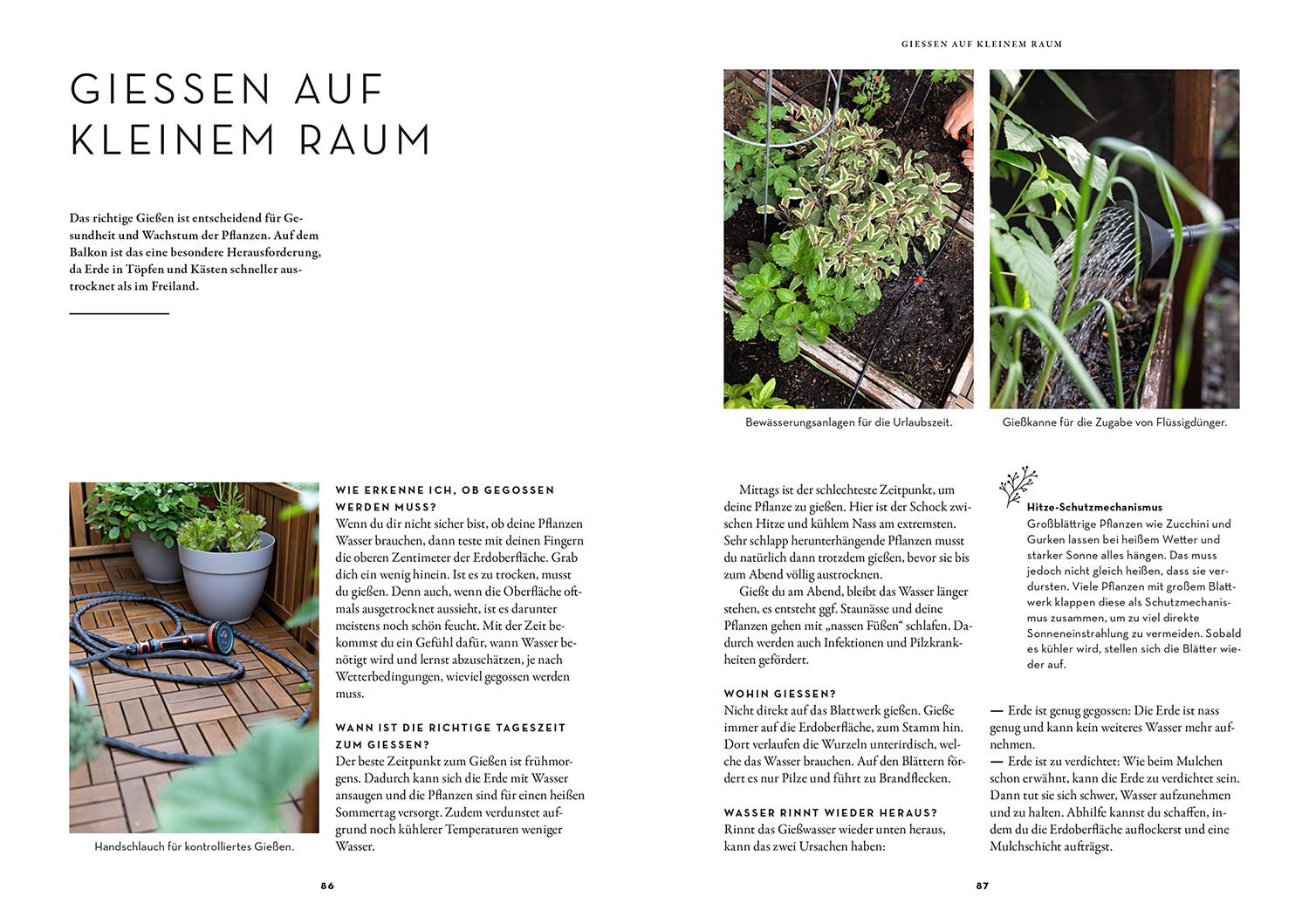 Selbstversorgung aus dem Balkon-Hochbeet