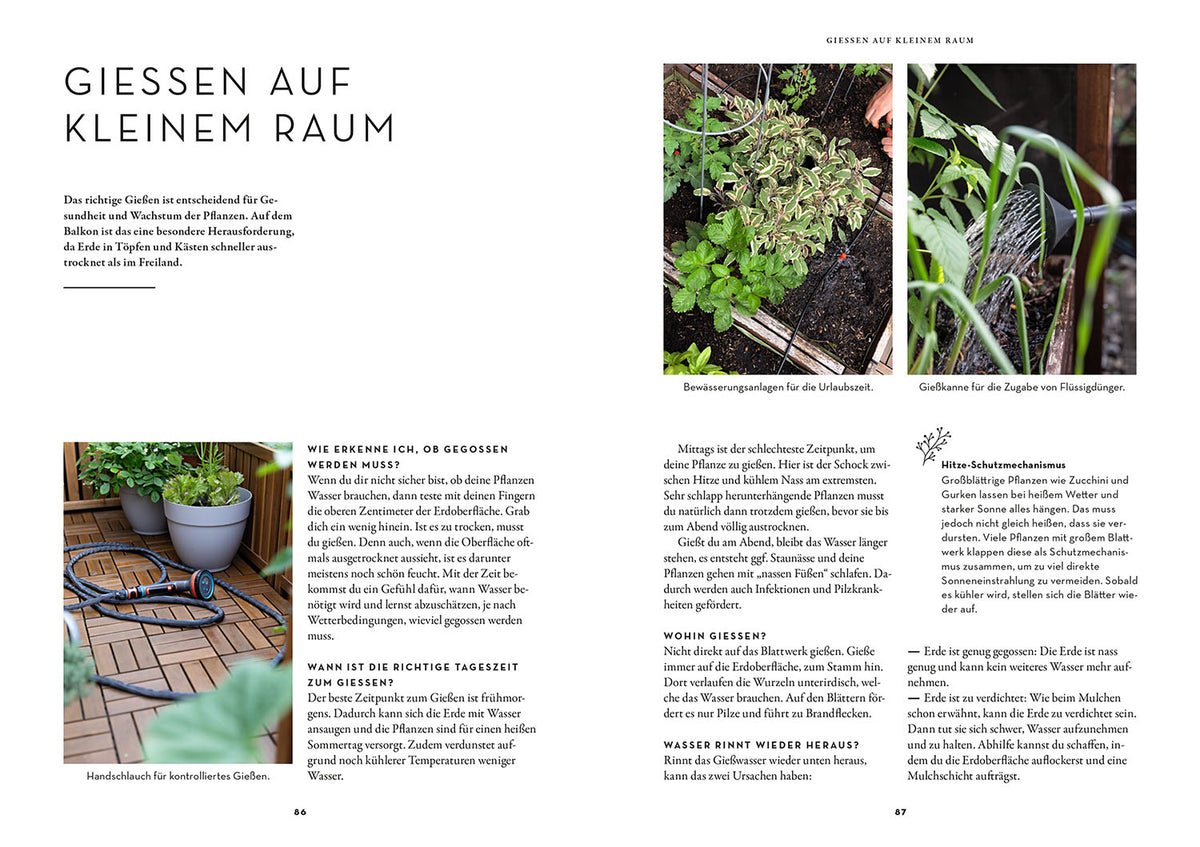 Selbstversorgung aus dem Balkon-Hochbeet