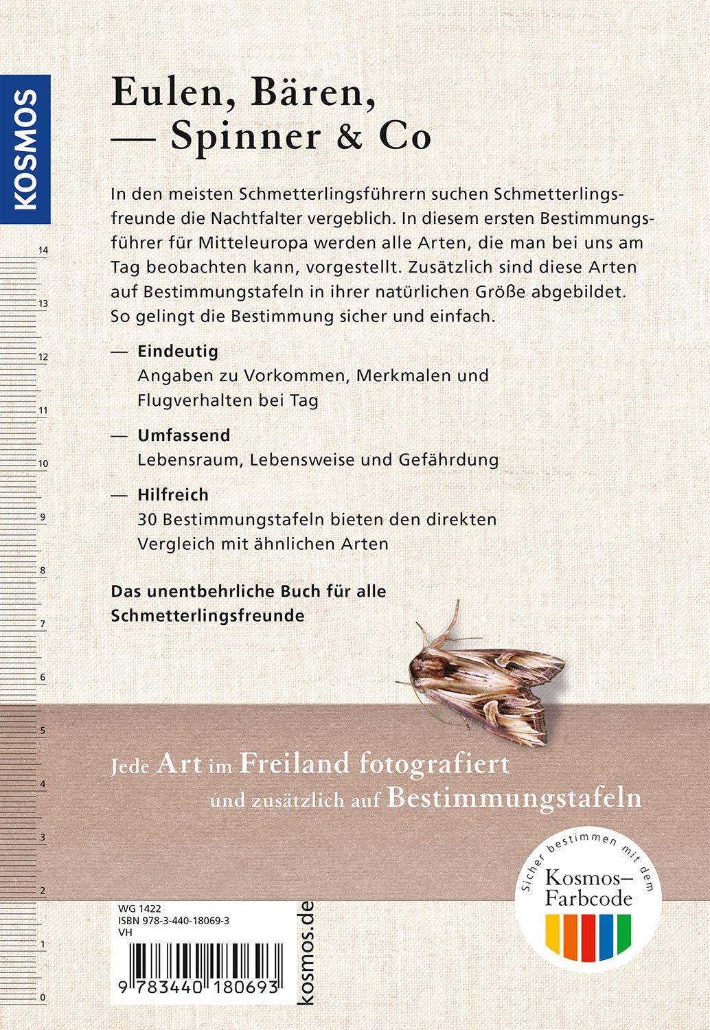 Tagaktive Nachtfalter