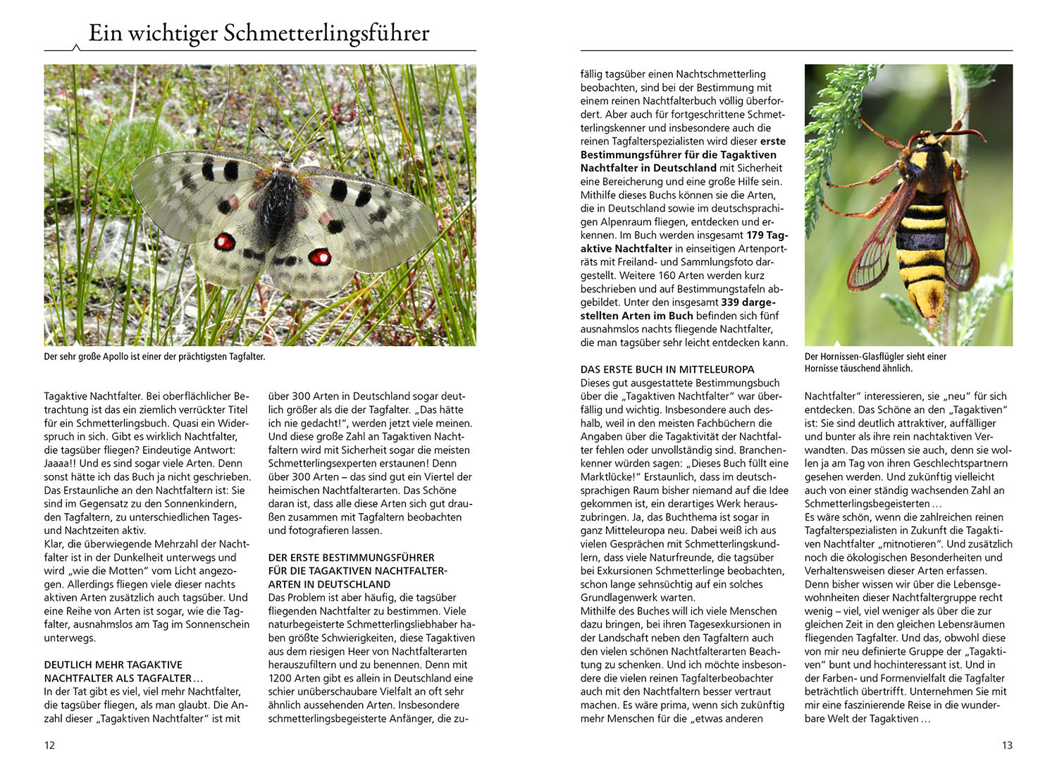 Tagaktive Nachtfalter