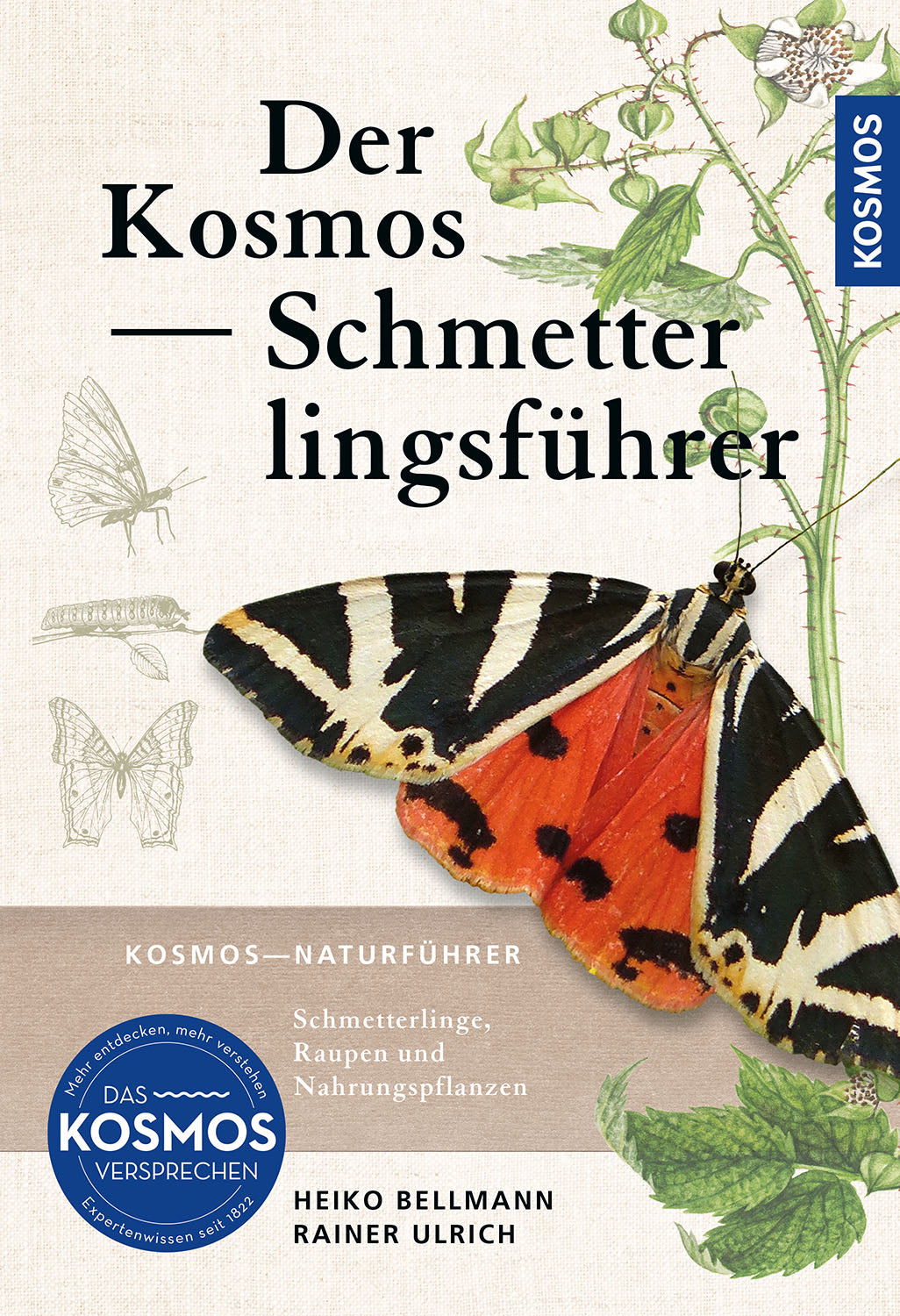 Kosmos Butterfly Guide