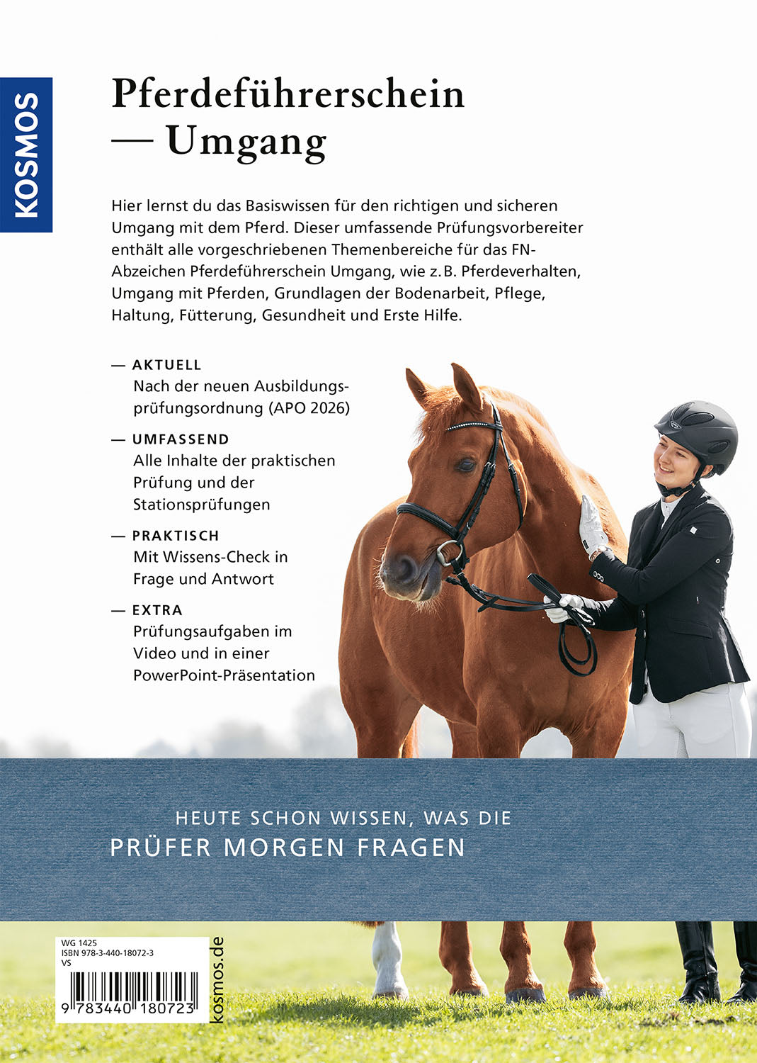 Pferdeführerschein Umgang
