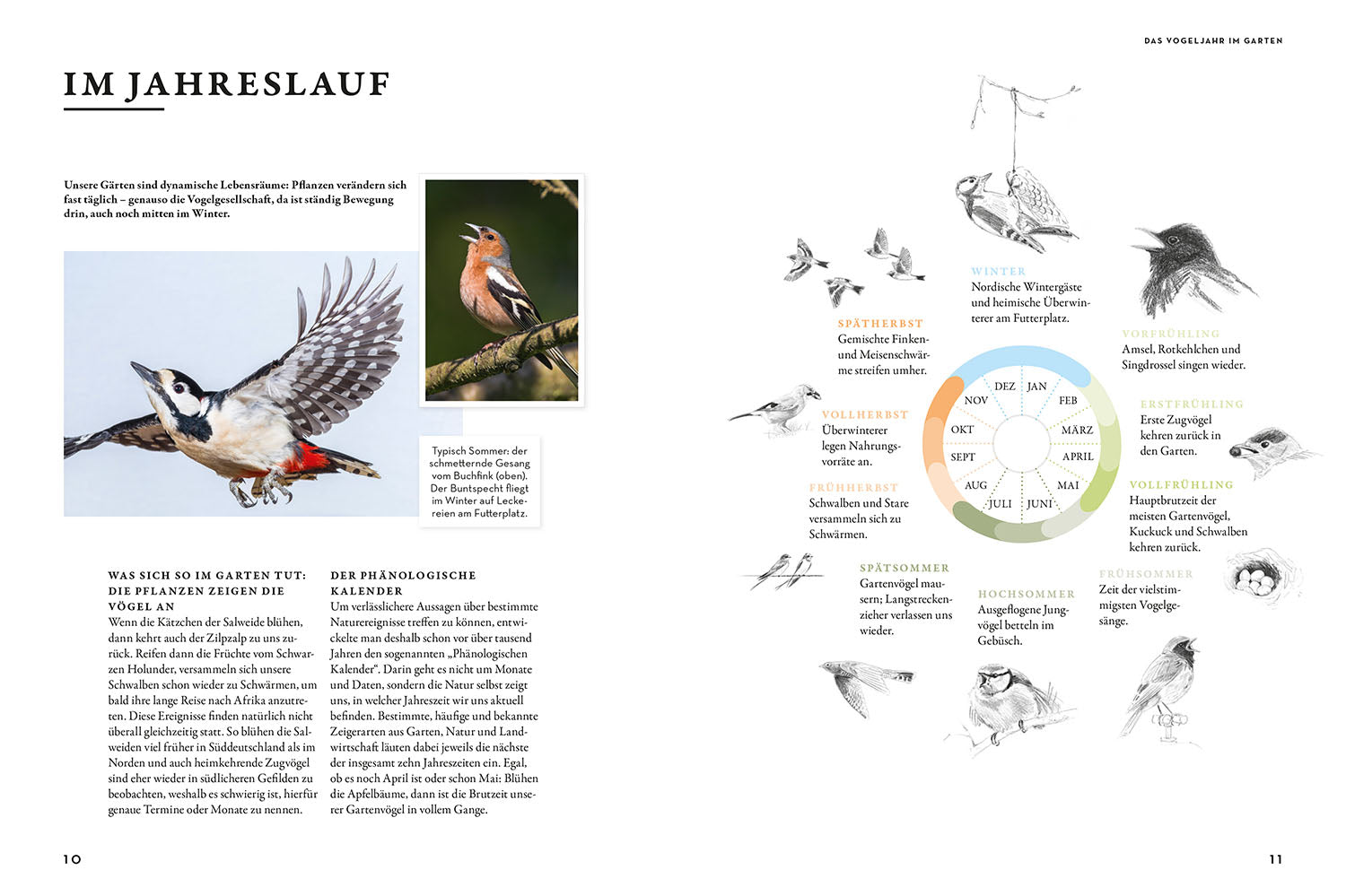 Das Buch der Gartenvögel