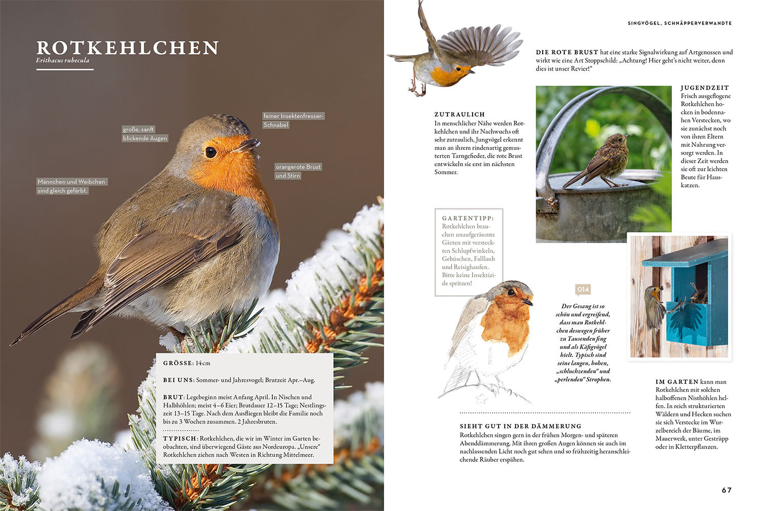 Das Buch der Gartenvögel