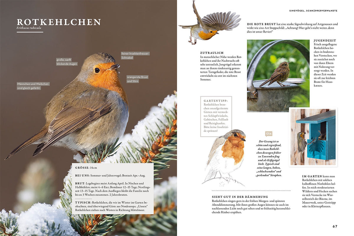 Das Buch der Gartenvögel