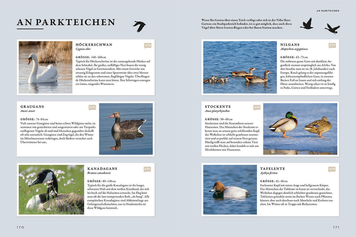 Das Buch der Gartenvögel