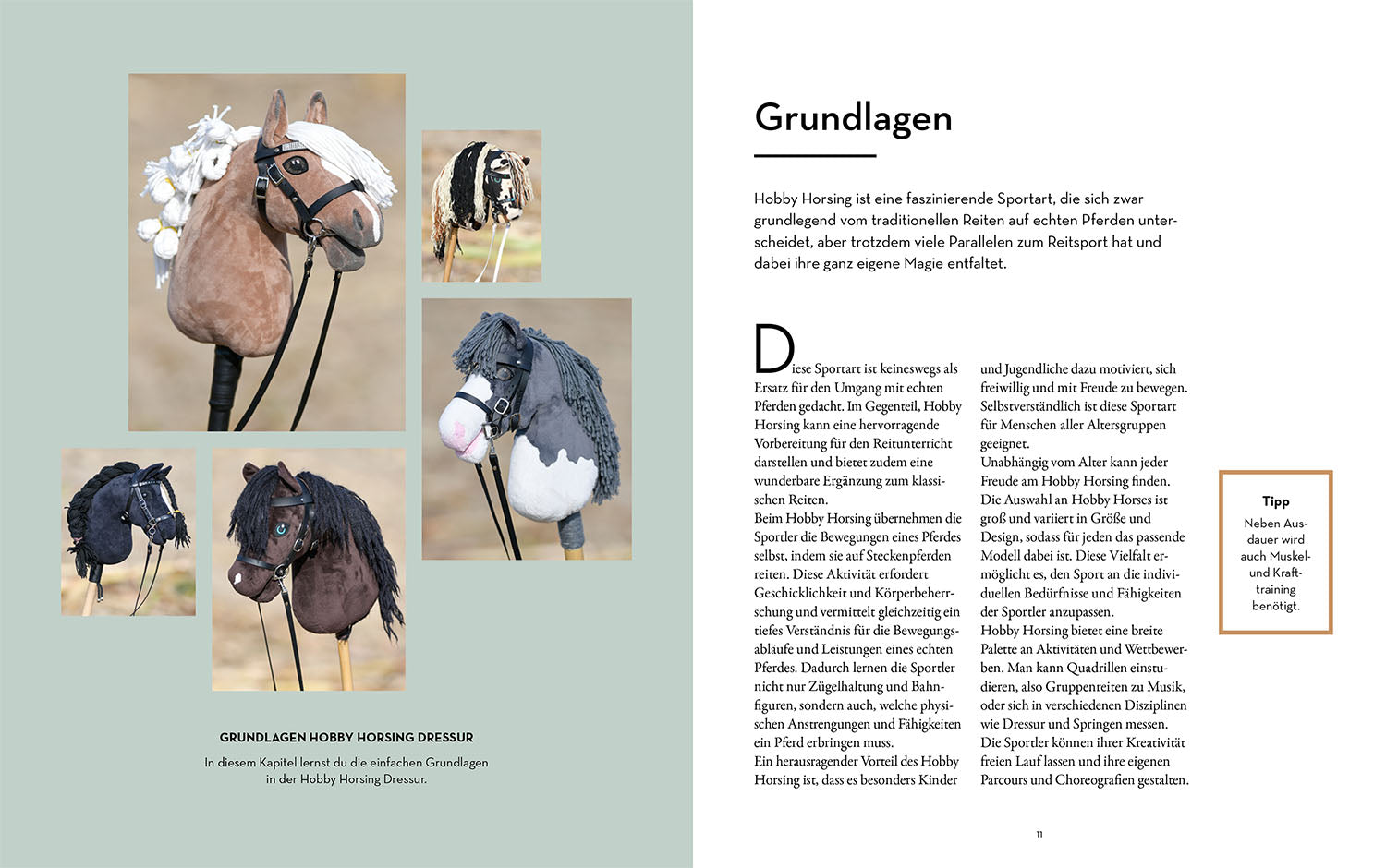 Hobby Horsing Dressurtraining
