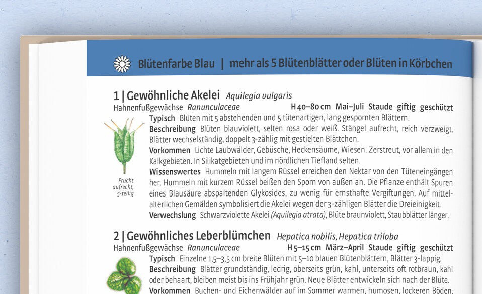 Wichtigen Informationen zur Pflanze