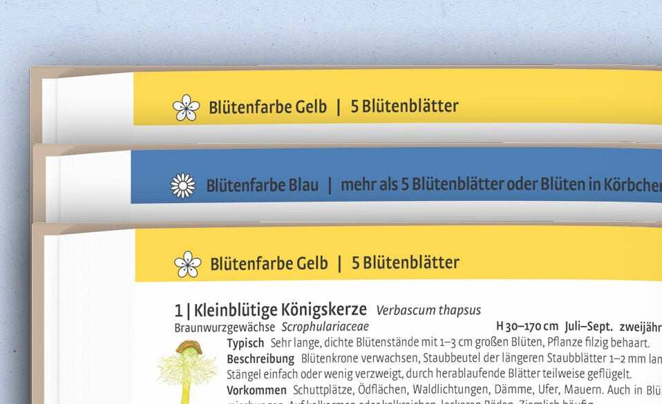 Schnelle Bestimmung mit dem KOSMOS-Farbcode