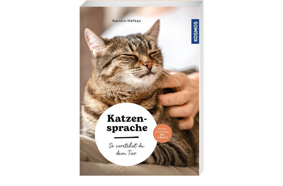 Der perfekte Einstieg