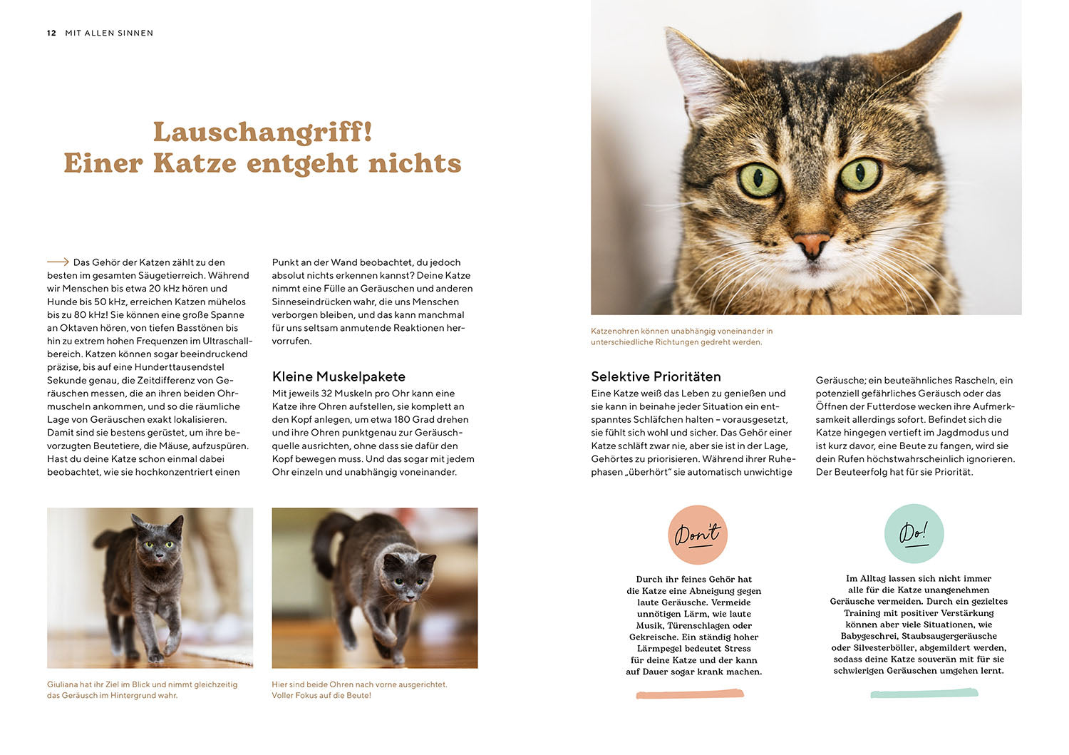 Katzensprache