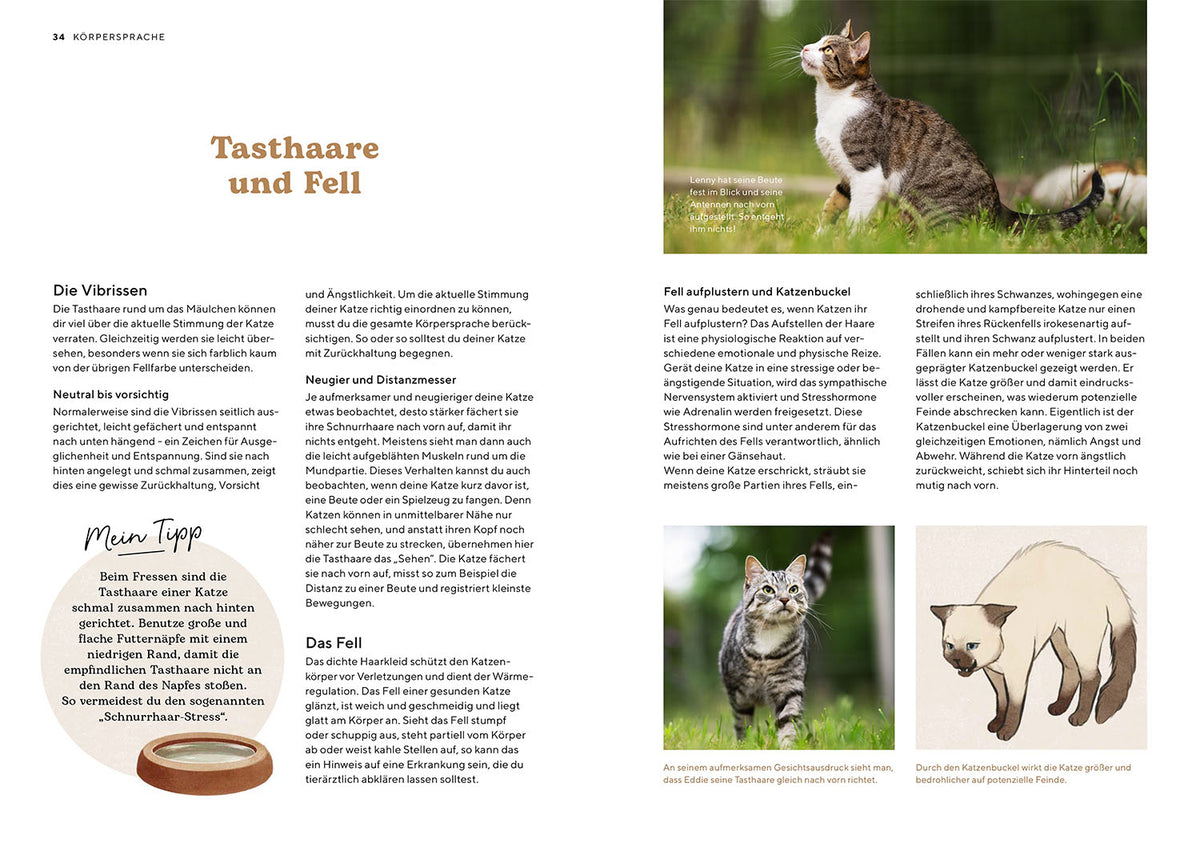 Katzensprache