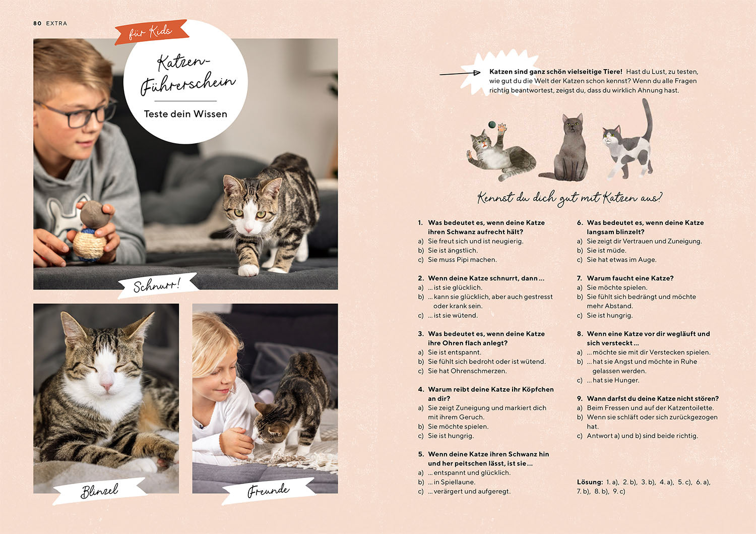 Katzensprache