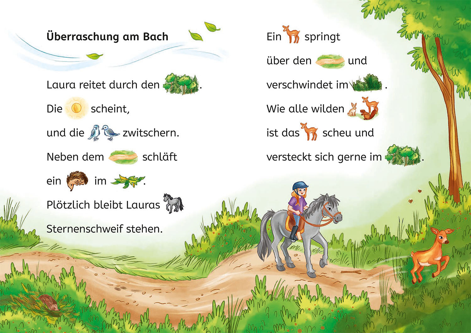 Sternenschweif, Bücherhelden Vorschule, Im Wald der Wunder