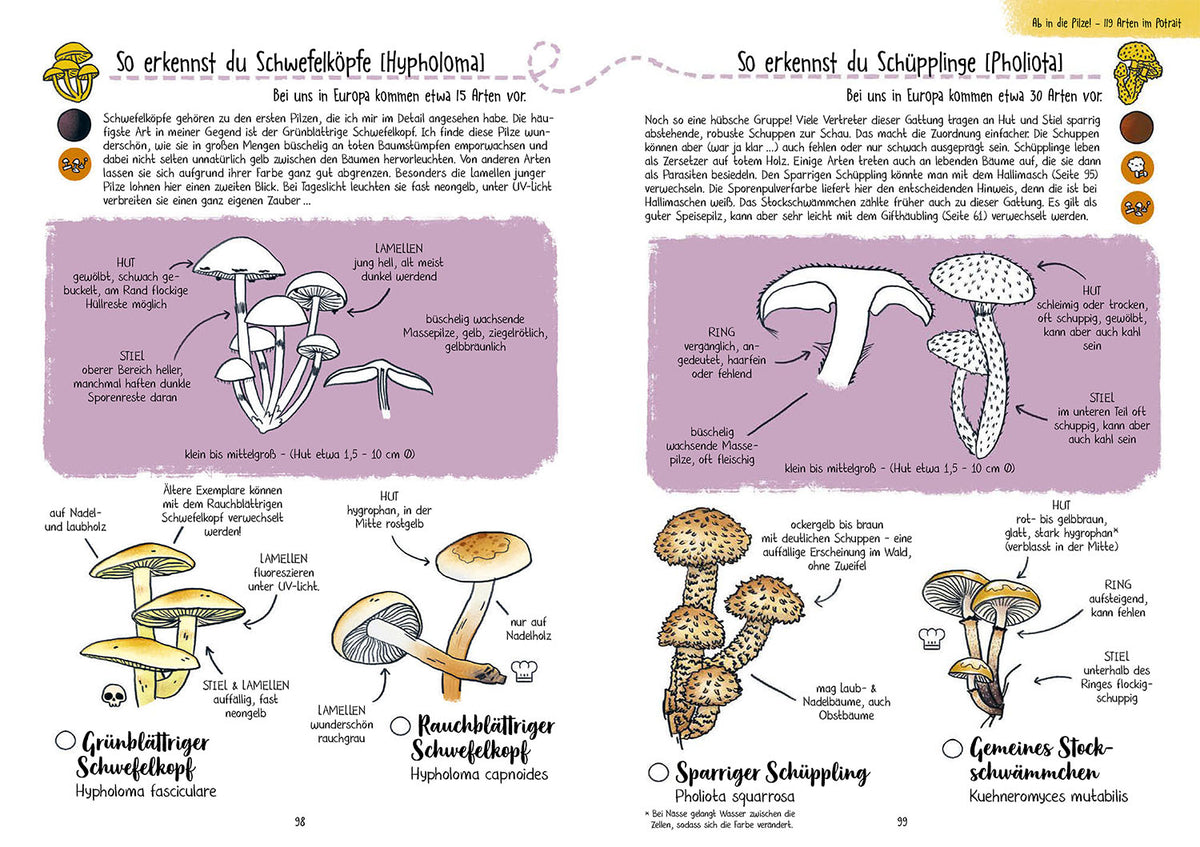 Mushrooms for Dummies
