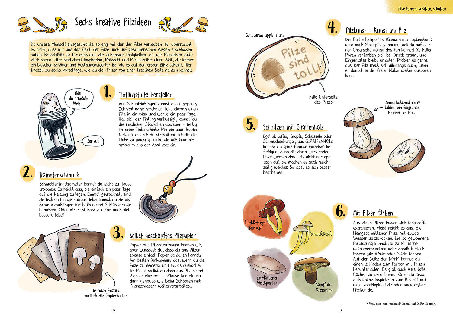 Mushrooms for Dummies