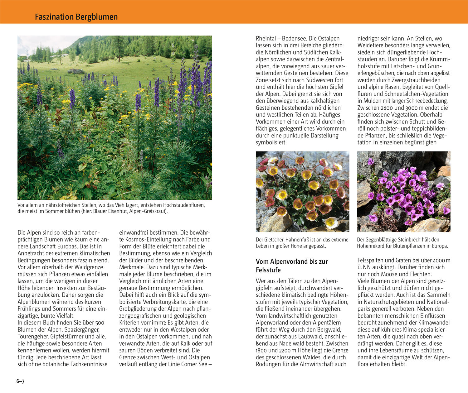 Blumen der Alpen