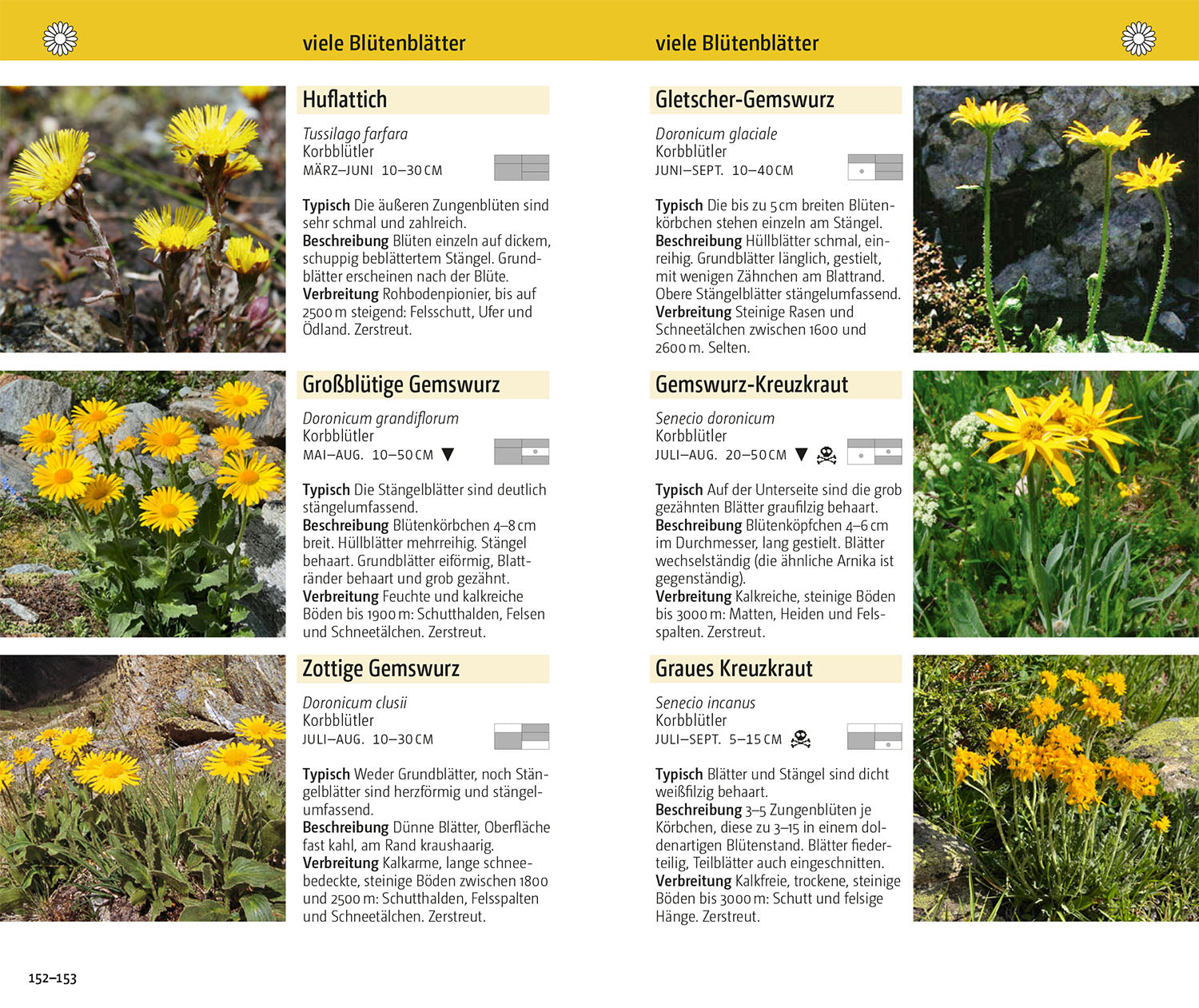 Blumen der Alpen