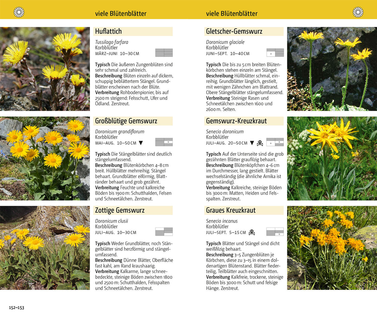 Blumen der Alpen