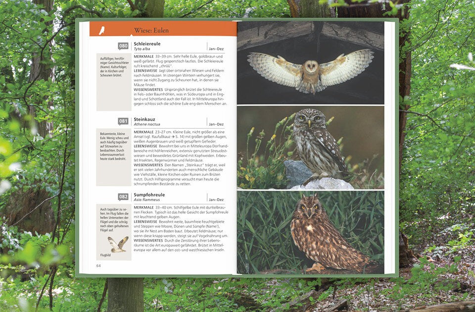 Über 230 Vogelarten im Porträt