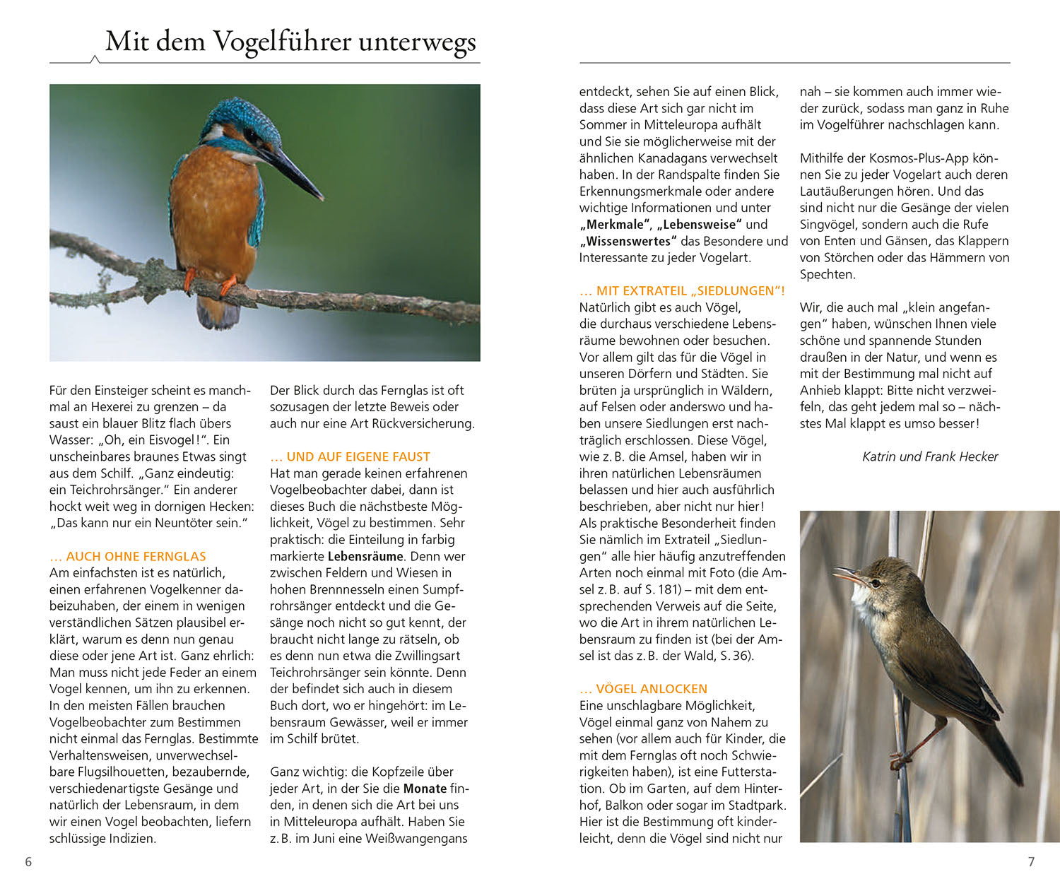 Kosmos Vogelführer für unterwegs