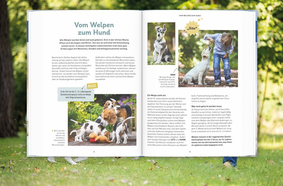 Pflegen, spielen, verstehen