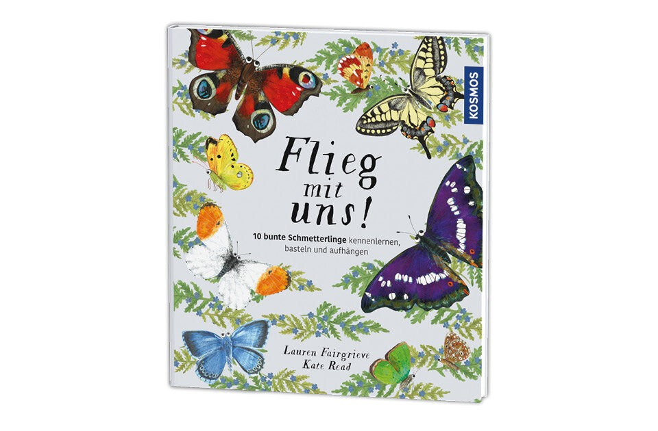 Dein eigener Schmetterlingsschwarm für zu Hause