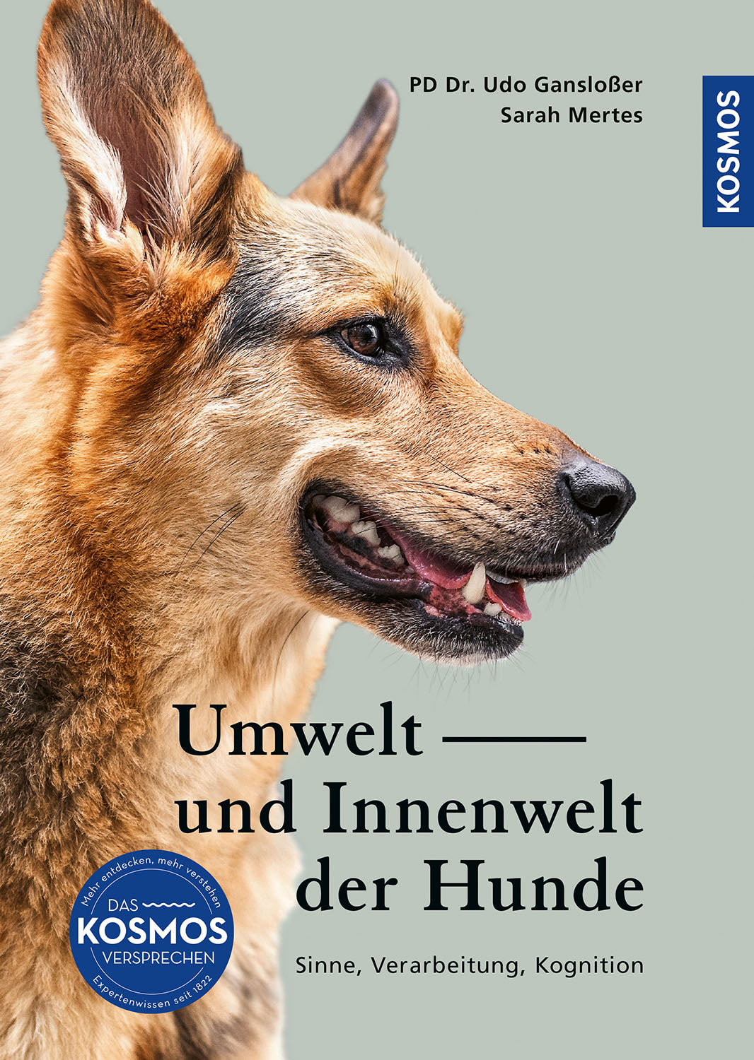 The Outer and Inner World of Dogs