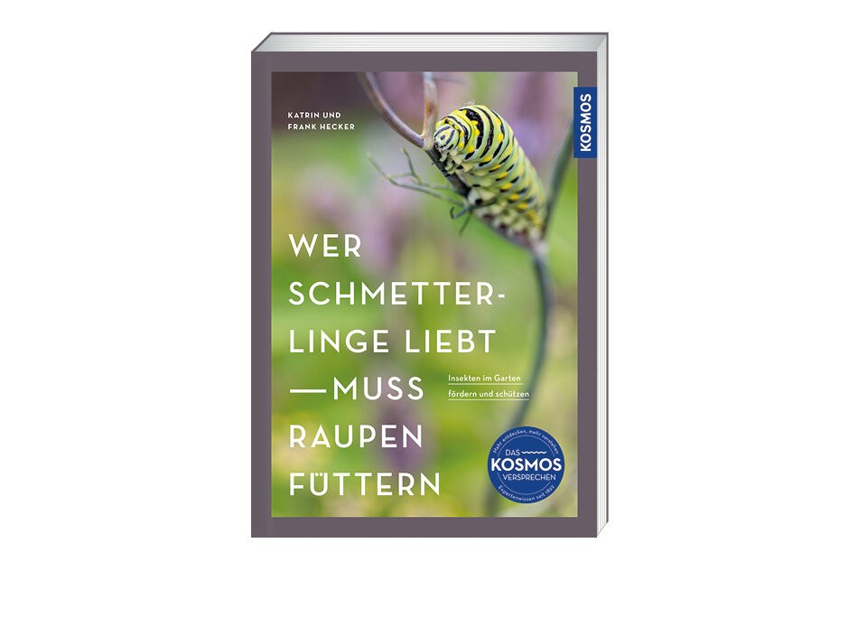 Insekten im Garten fördern und schützen