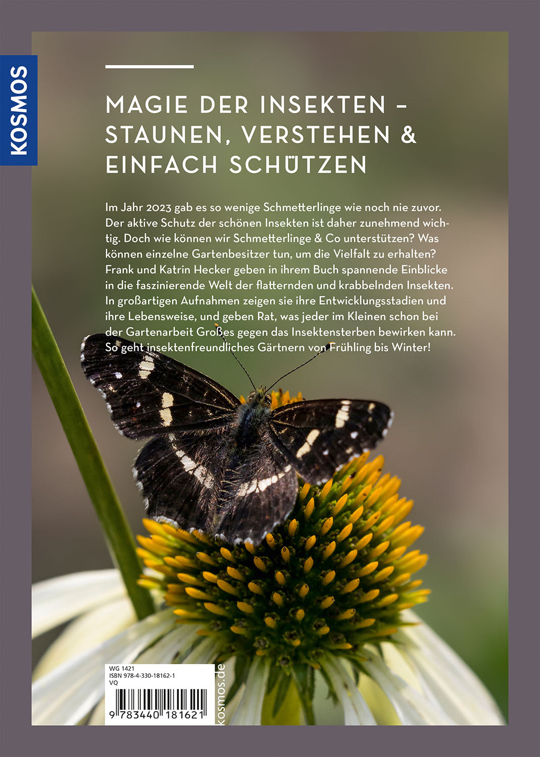 Wer Schmetterlinge liebt, muss Raupen füttern