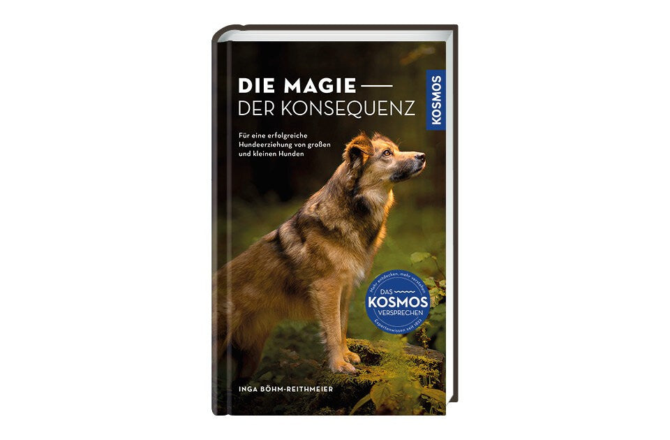 Mit Konsequenz zum gut erzogenen Hund