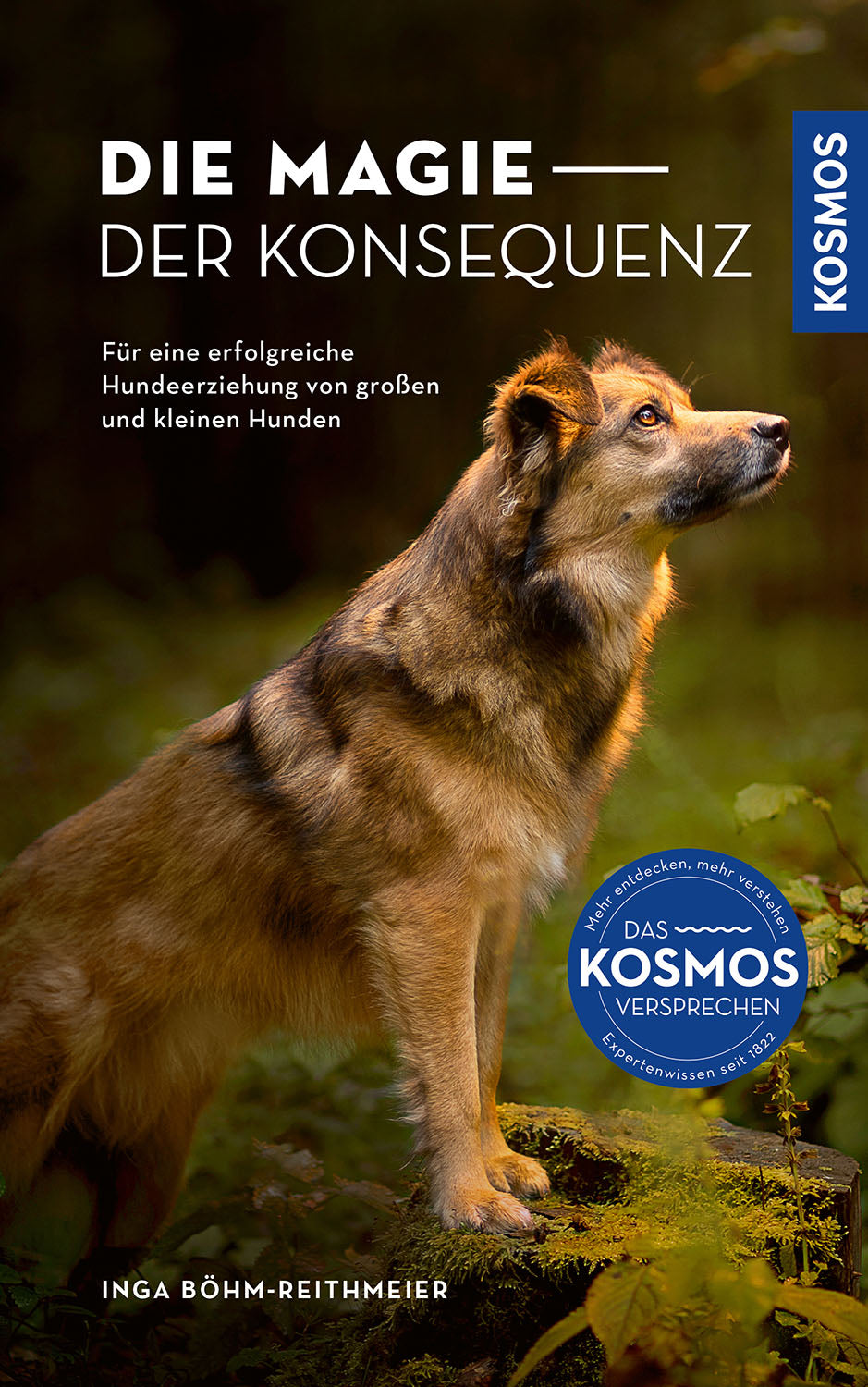 Die Magie der Konsequenz