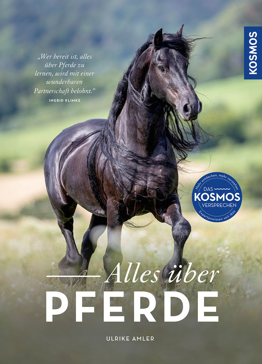 All About Horses
